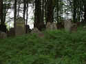 Altengronau Friedhof 157.jpg (112128 Byte)