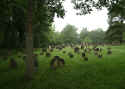Kleinbardorf Friedhof 234.jpg (86475 Byte)