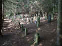 Niederzissen Friedhof 180.jpg (116411 Byte)