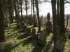 Herschberg Friedhof 155.jpg (107227 Byte)