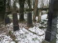 Schotten Friedhof 162.jpg (118778 Byte)