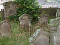 Melsungen Friedhof 201.jpg (113649 Byte)