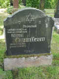 Mengeringhausen Friedhof 153.jpg (118438 Byte)