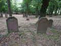 Hallgarten Friedhof 191.jpg (122794 Byte)