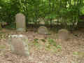Hallgarten Friedhof 194.jpg (129063 Byte)