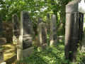Gross-Bieberau Friedhof 190.jpg (119091 Byte)