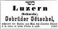 Luzern Israelit 23081876.jpg (32653 Byte)