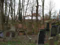 Gelnhausen Friedhof 170.jpg (110410 Byte)