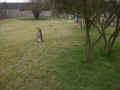 Heldenbergen Friedhof a278.jpg (100279 Byte)