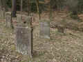 Erdmannrode Friedhof 176.jpg (138185 Byte)