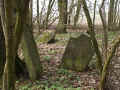 Weyhers Friedhofs 169.jpg (125591 Byte)