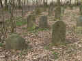 Weyhers Friedhofs 191.jpg (146583 Byte)