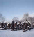 Crailsheim Friedhof 802.jpg (52579 Byte)