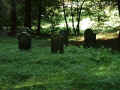 Waldbreitbach Friedhof 174.jpg (114572 Byte)