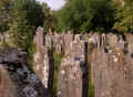 Heidingsfeld Friedhof 192.jpg (99317 Byte)