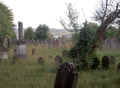 Heidingsfeld Friedhof 231.jpg (71492 Byte)