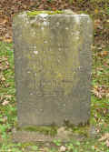 Herborn Friedhof 183.jpg (114887 Byte)