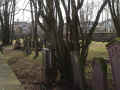 Langenselbold Friedhof 185.jpg (102707 Byte)
