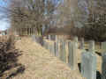 Niedermittlau Friedhof 187.jpg (129749 Byte)