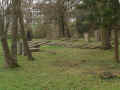 Fritzlar Friedhof 476.jpg (109901 Byte)
