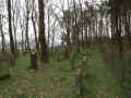 Haarhausen Friedhof 488.jpg (121387 Byte)