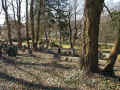 Korbach Friedhof 471.jpg (145441 Byte)