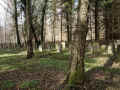 Kronberg Friedhof 483.jpg (137357 Byte)