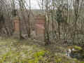 Usingen Friedhof 481.jpg (141904 Byte)