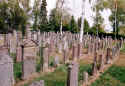 Freistett Friedhof 153.jpg (87188 Byte)