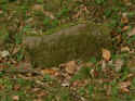 Neckarsulm Friedhof 157.jpg (116342 Byte)