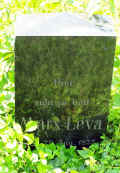 Fussgoenheim Friedhof 416.jpg (102368 Byte)