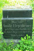 Fussgoenheim Friedhof 419.jpg (105978 Byte)