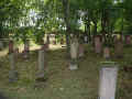 Mainz Friedhof a458.jpg (150751 Byte)