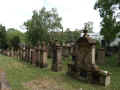 Mainz Friedhof n466.jpg (127754 Byte)