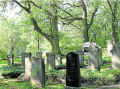Rhoden Friedhof PA 082010.jpg (83767 Byte)