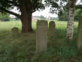 Weener Friedhof A2 176.jpg (124711 Byte)