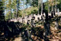 Braunsbach Friedhof 157.jpg (95790 Byte)