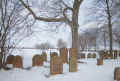 Lustadt Friedhof 212.jpg (223222 Byte)