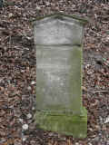 Plaue Friedhof 135.jpg (149289 Byte)