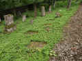 Hechingen Friedhof 11019.jpg (218991 Byte)