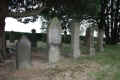 Vechta Friedhof 216.jpg (208987 Byte)
