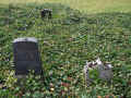 Goeppingen Friedhof 09060.jpg (226022 Byte)