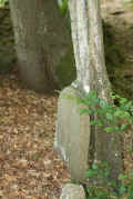 Altengronau Friedhof 490.jpg (63387 Byte)