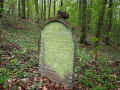Wierschem Friedhof 12100.jpg (357441 Byte)