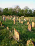 Huettenheim Friedhof 1241.jpg (810879 Byte)