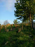 Huettenheim Friedhof 1242.jpg (711868 Byte)