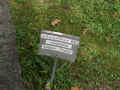 Frankfurt Friedhof A12257.jpg (203197 Byte)