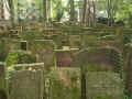 Frankfurt Friedhof Battonstrasse 09026.jpg (239851 Byte)