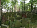 Frankfurt Friedhof Battonstrasse 09027.jpg (253663 Byte)