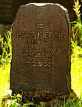 Gross Gerau Friedhof 12017.jpg (178834 Byte)